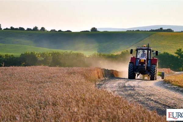 Στερεύουν τα αποθέματα ηλιελαίου