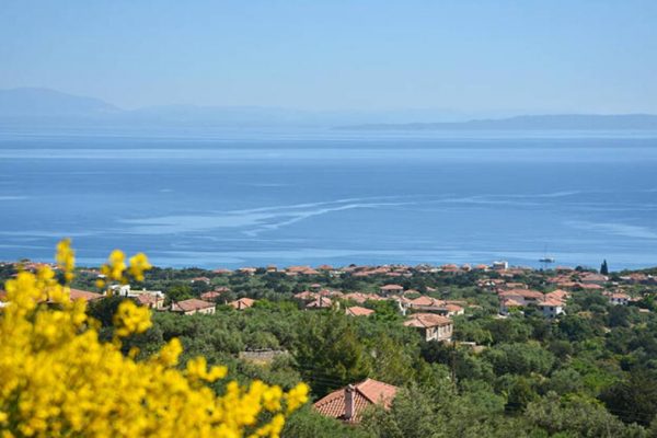 Πούλιθρα: Γνωρίστε το ήσυχο χωριό της Αρκαδίας που συνδυάζει βουνό και θάλασσα