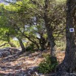 Πρωτομαγιά: 1+1 μέρη για ολοήμερη βόλτα στην Αθήνα