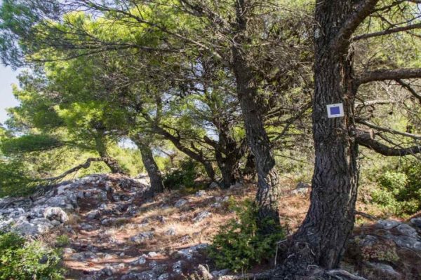 Πρωτομαγιά: 1+1 μέρη για ολοήμερη βόλτα στην Αθήνα