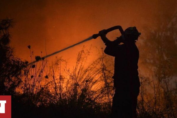 Φωτιά στην Κορινθία: Υπό μερικό έλεγχο η πυρκαγιά σε δασική έκταση στο Αμόνι