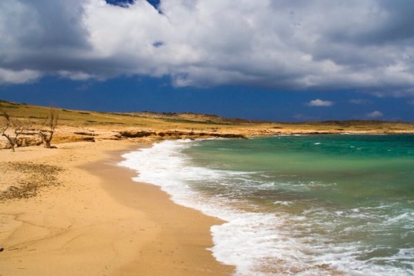 Αστυπάλαια: Η εντυπωσιακή παραλία Χρυσή Άμμος εκμισθώθηκε για να φτιαχτεί beach bar – Οργή από τους κατοίκους