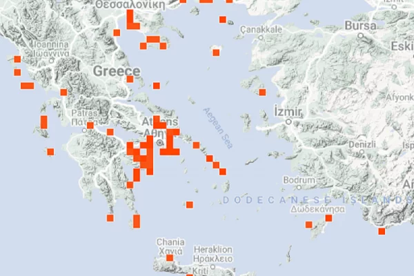 Μωβ μέδουσες: Χάρτης με τις επικίνδυνες περιοχές – Σε ποιες παραλίες χρειάζεται προσοχή στην Αττική