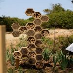 Το Sani Resort παρουσιάζει το μεγαλύτερο Bee Spot στην Ελλάδα