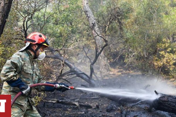 Φωτιά στον Έβρο: Εκτός ελέγχου η πυρκαγιά στη Δαδιά – Σύσκεψη υπό το κυβερνητικό κλιμάκιο