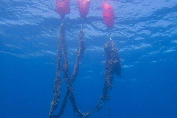 Αλόννησος: Χρησιμοποίησαν υποβρύχιο ρομπότ και καθάρισαν τον βυθό