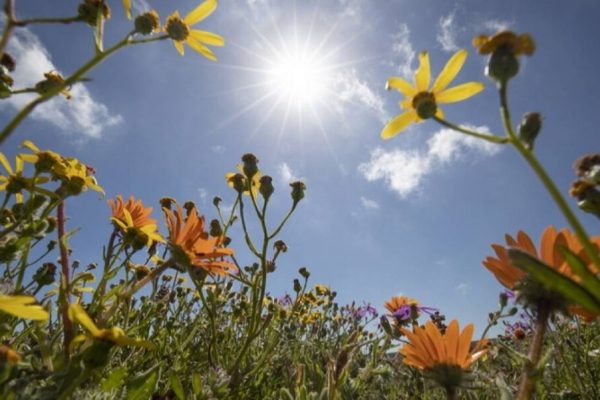 Καιρός 5/8: Γενικά αίθριος με ηλιοφάνεια και βοριάδες στο Αιγαίο