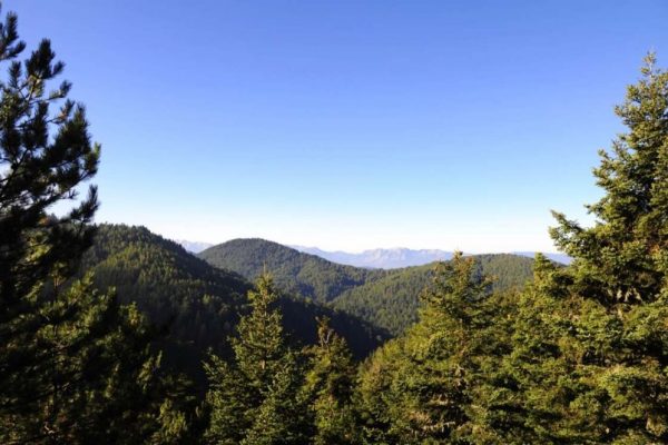 Πάρνωνας: Αλπικά δάση, ειδυλλιακά μονοπάτια και καρτποσταλικά τοπία