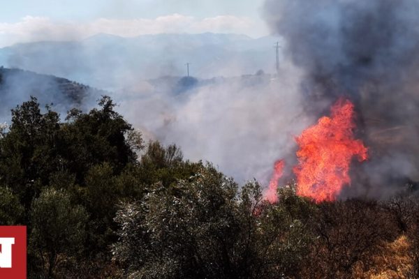 Φωτιά στην Αχαΐα – Κινητοποιήθηκαν και εναέριες δυνάμεις