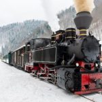 trainose